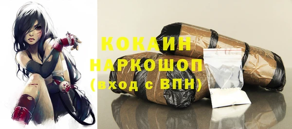 шишки Алексин