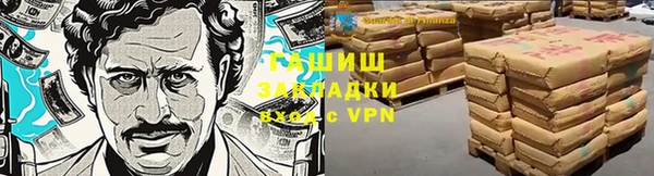 шишки Алексин