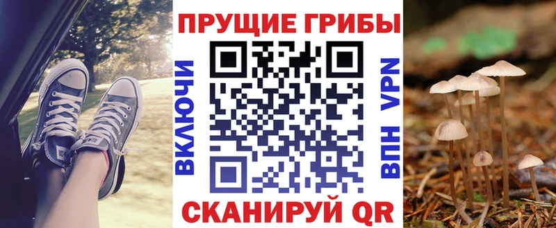 Псилоцибиновые грибы Psilocybe  ссылка на мегу ONION  Лахденпохья 